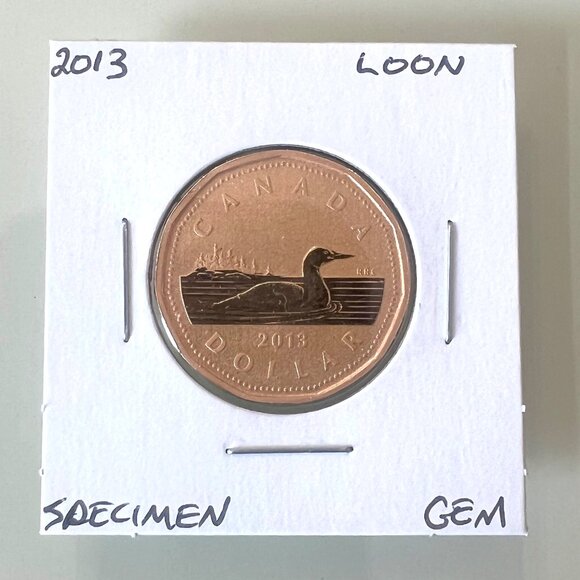 2012, 2012, 2013 and 2013 Canada Special Edition Specimen $1 Dollar Loonies! - Picture 7 of 10